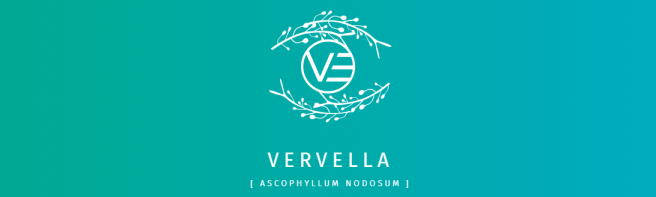 Vervella - Kahverengi Deniz Yosunu.png